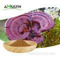 Lingzhi Ganoderma Lucidum Extrait de poudre de champignon reishi